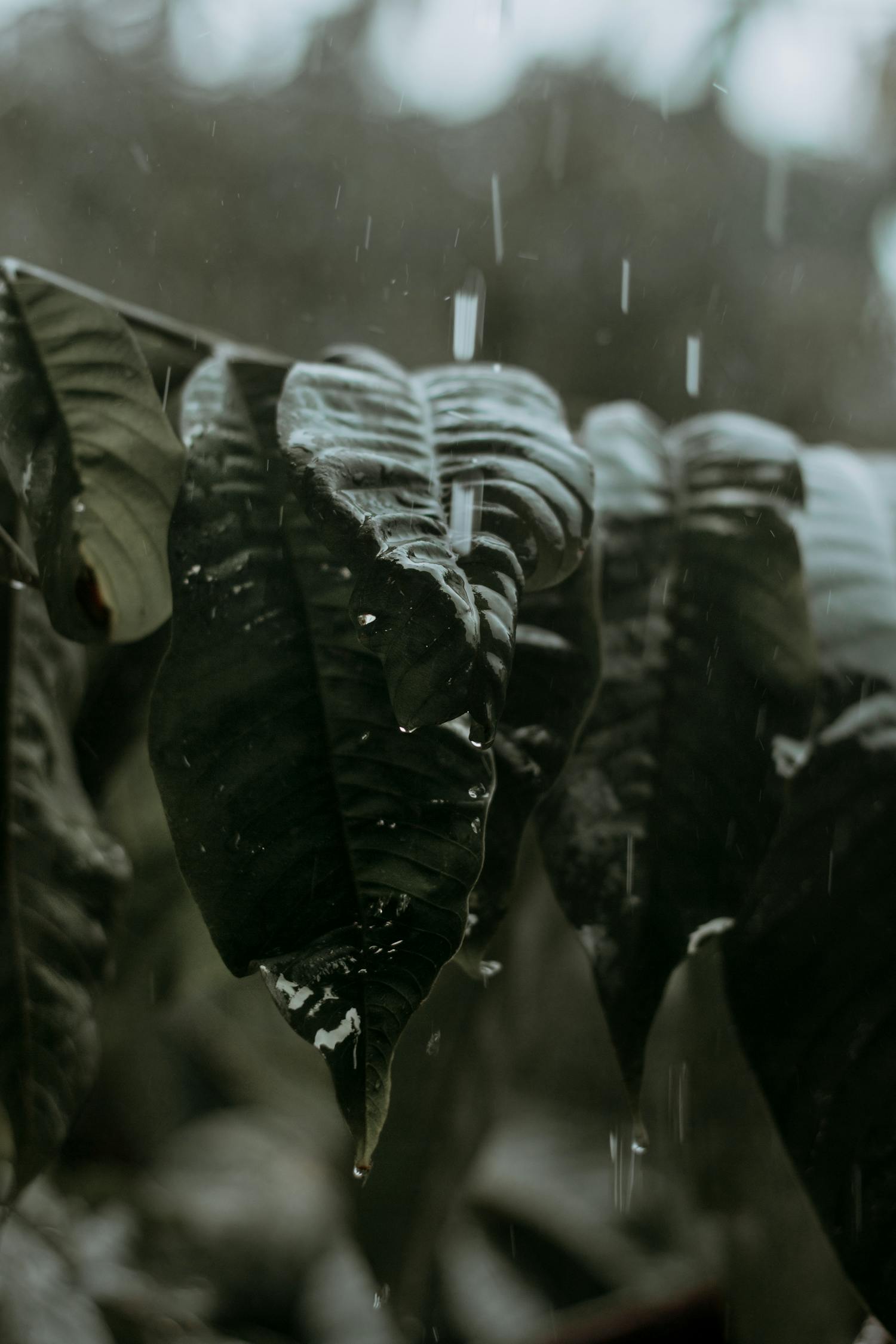 《风吹半夏》影视解说,剧情解析与角色深度剖析 《风吹半夏》影视解说,剧情解析与角色深度剖析