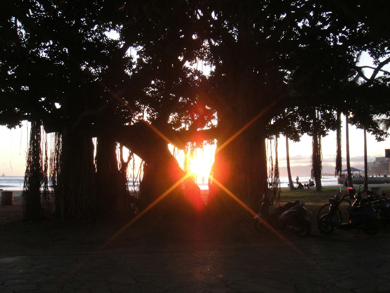 《夕阳染红的街道》影评:电影情感表达, 剧情深度解析, 视觉艺术欣赏 《夕阳染红的街道》影评:电影情感表达, 剧情深度解析, 视觉艺术欣赏