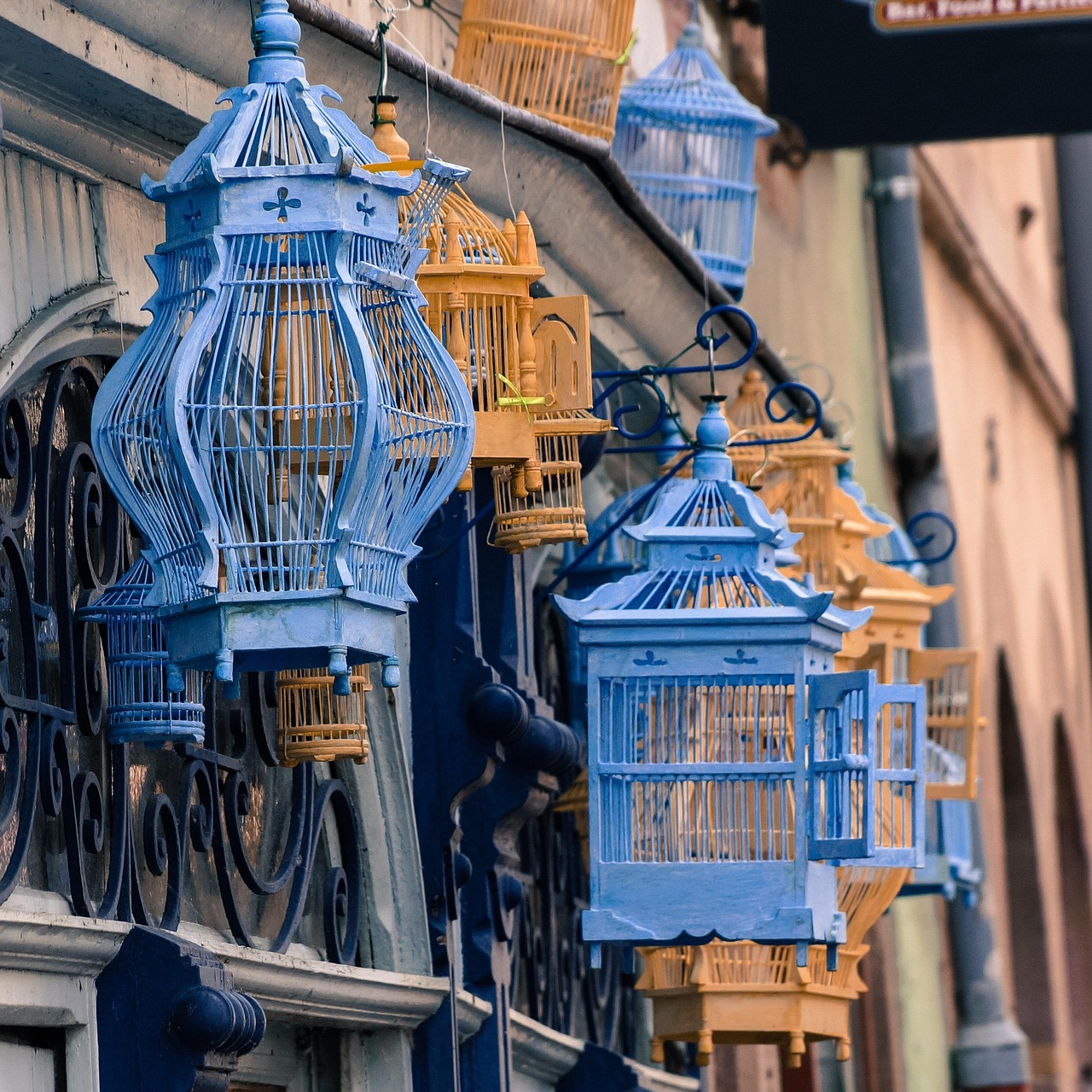 《梦之雫、黄金鸟笼》影评:这部电影值得一看吗?, 情感深度和视觉冲击如何? 《梦之雫、黄金鸟笼》影评:这部电影值得一看吗?, 情感深度和视觉冲击如何?