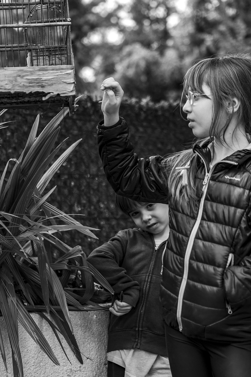 《外国男孩别碰我》影评：文化冲突下的自我探索，情感共鸣与社会反响