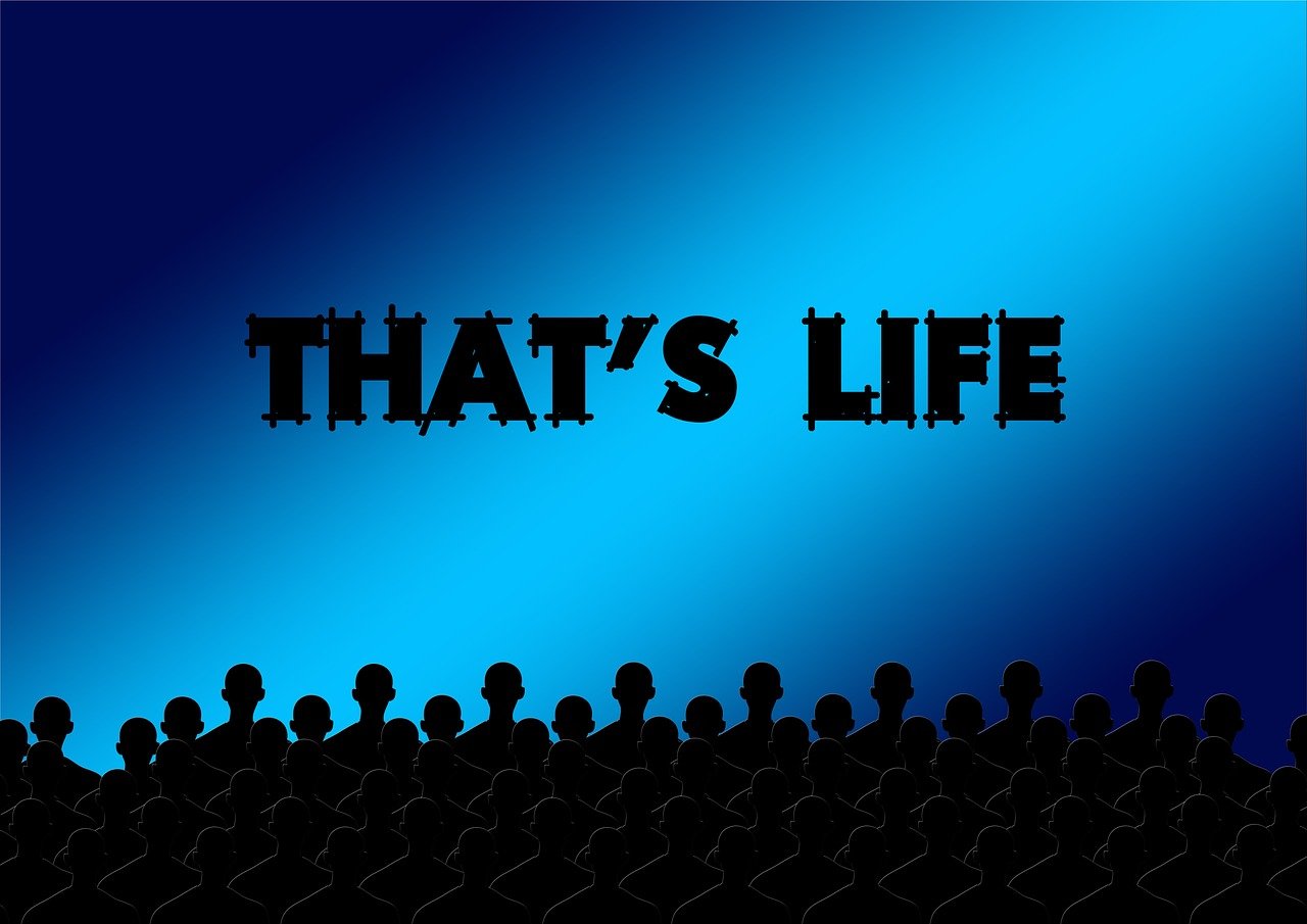 《手机2》影评:电影深度解析,观众反响如何? 《手机2》影评:电影深度解析,观众反响如何?