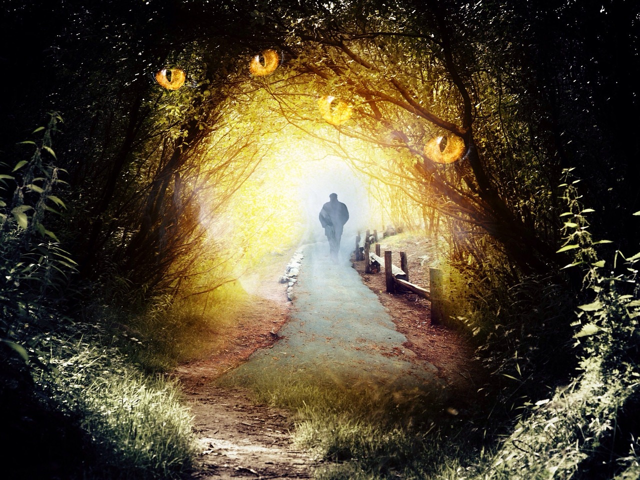 《幻爱》影评:情感纠葛, 艺术表现力如何?省时了解! 《幻爱》影评:情感纠葛, 艺术表现力如何?省时了解!